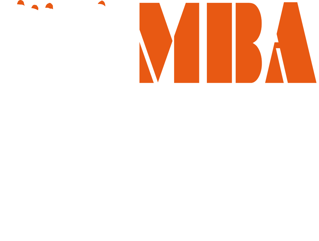 MBA Gutter Guards square white and orange